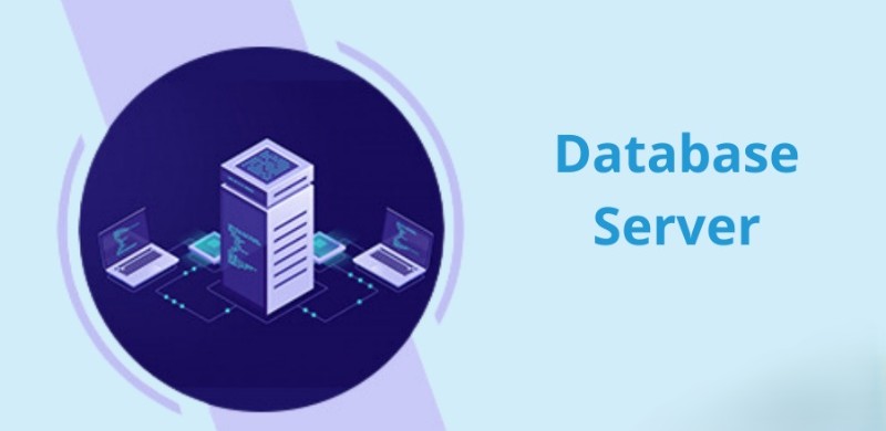 Các loại máy chủ server