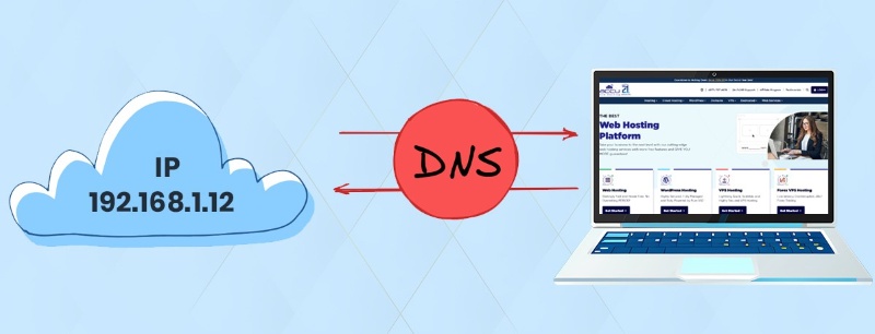 Cấu hình DNS