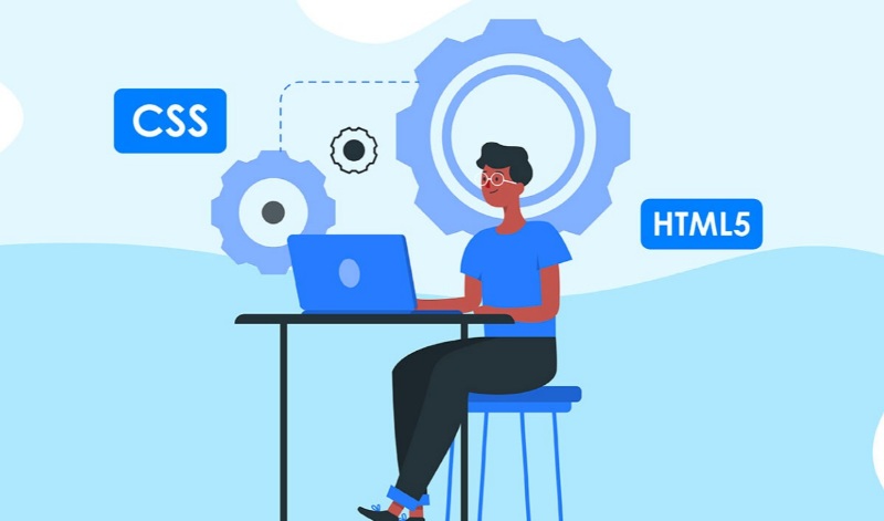 Lập trình web là gì? Cách lập trình website cơ bản cho người mới