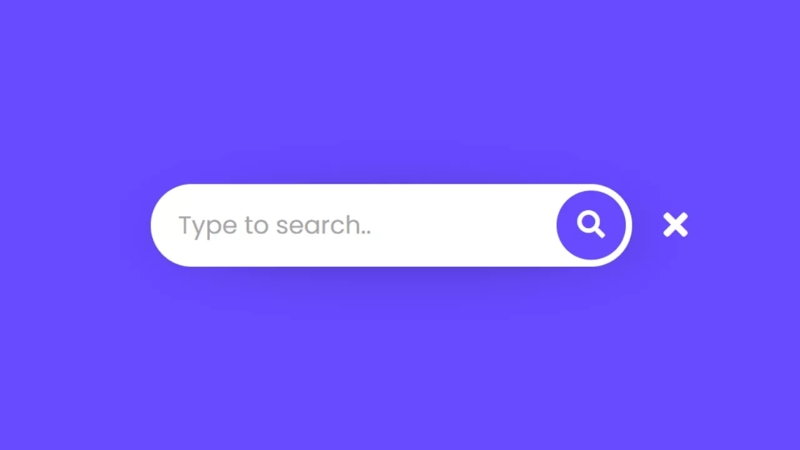 Search bar web