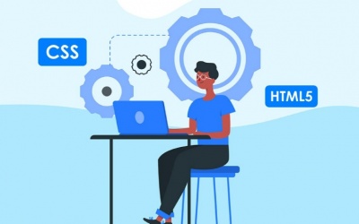 Lập trình web là gì? Cách lập trình website cơ bản cho người mới